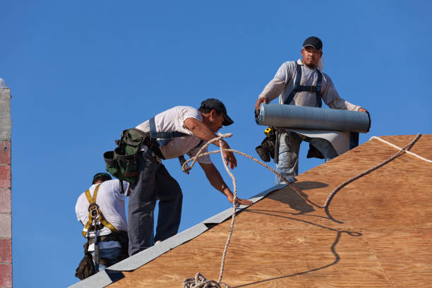 Roof Gutter Cleaning in Forestdale, MA